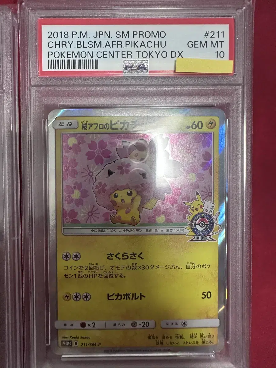 포켓몬카드 벚꽃 피카츄 프로모 PSA10